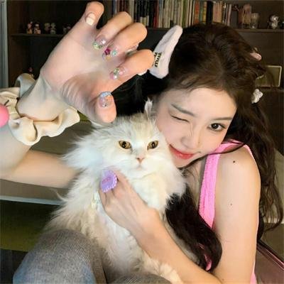 热铁皮屋顶上的猫